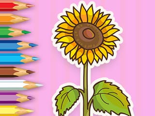 Coloring Book: Sunflower