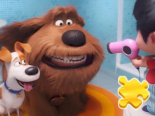 Jigsaw Puzzle: The Secret Life Of Pets