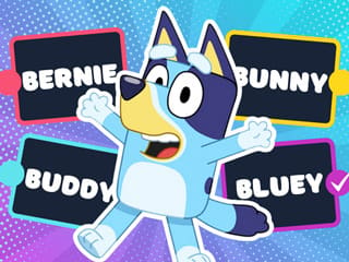 Bluey Super Fan Quiz