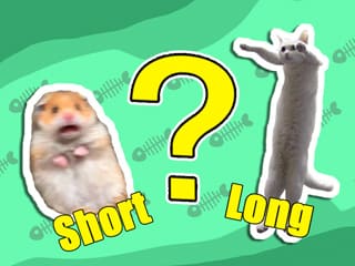 Kids Quiz: Shortest And Longest